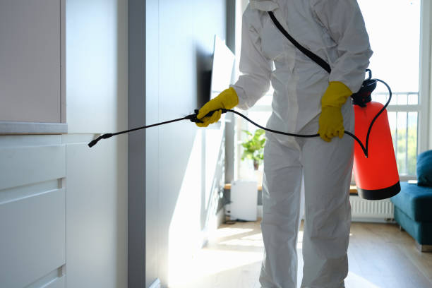 Best Bathroom Mold Remediation in West Liberty, OH