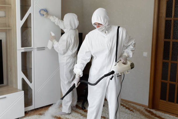 Best White Mold Remediation in West Liberty, OH